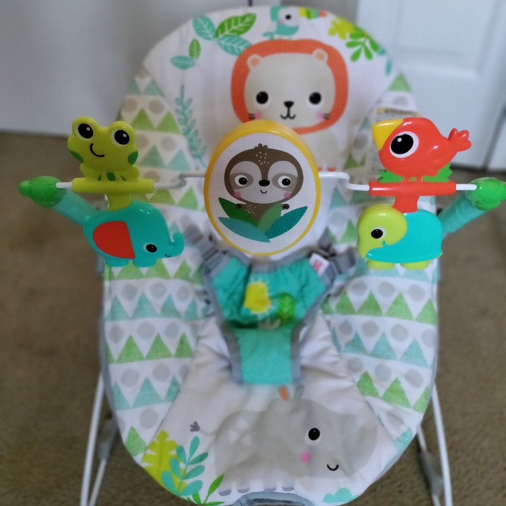Spinning Safari Baby Bouncer by Bright Starts